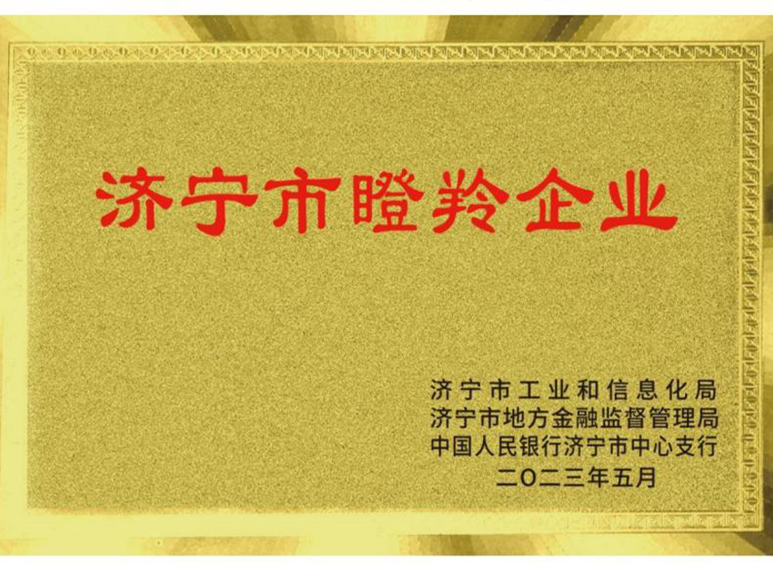 濟(jì)寧市瞪羚企業(yè)(市級)